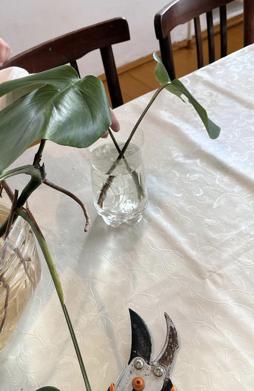 Объединение "Охрана природы" Объединение "Охрана природы"