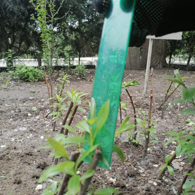 Объединение "Лесные робинзоны"