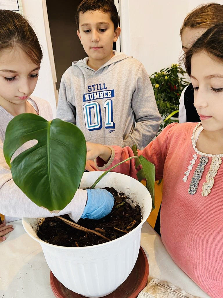 Объединение "Охрана природы" Объединение "Охрана природы"