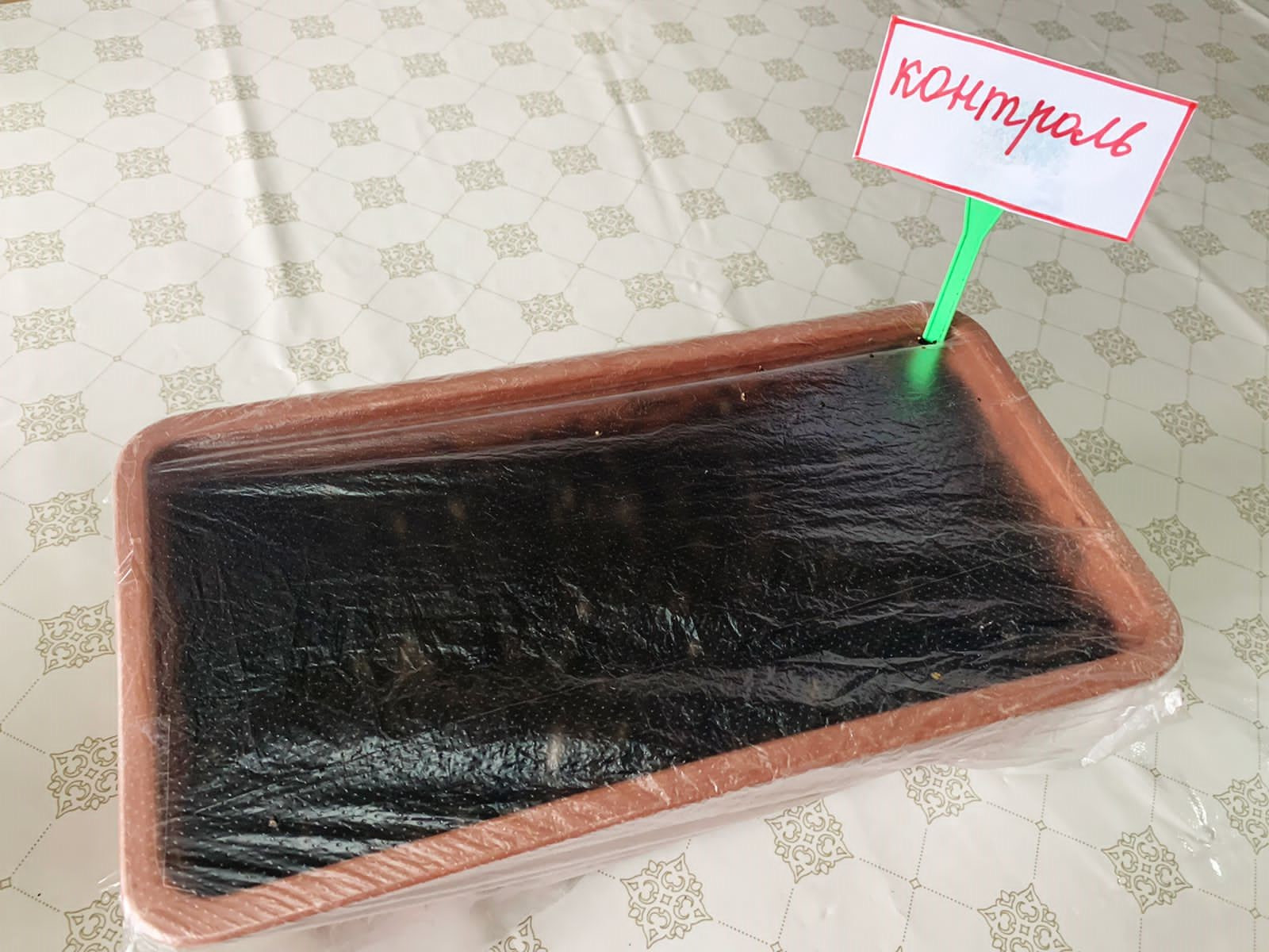 Объединение "Лесоводы"