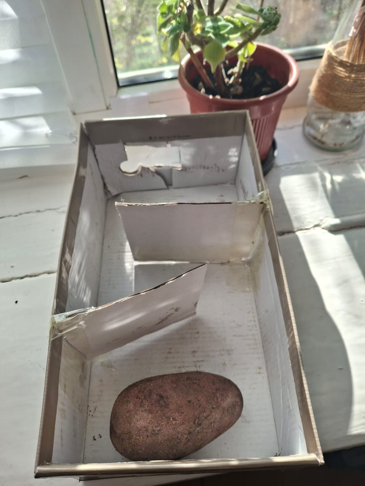 "Агростарт"