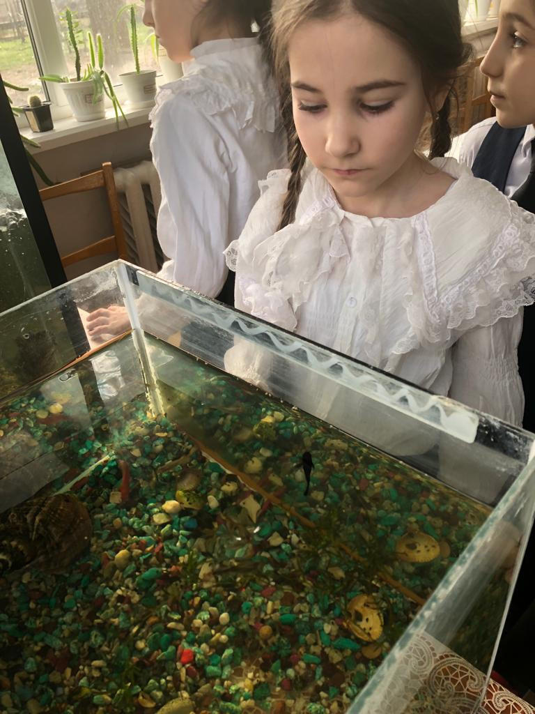 Объединение "Аквариумные рыбоводы"