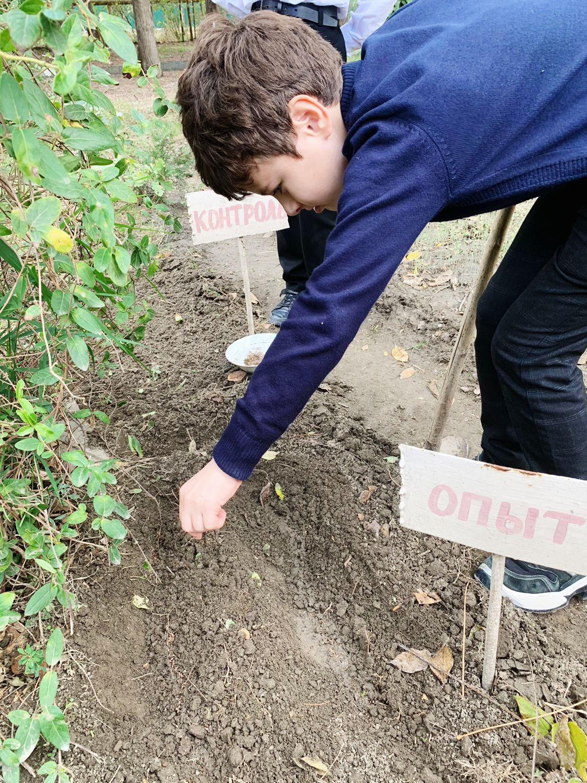 Объединение "Лесоводы"