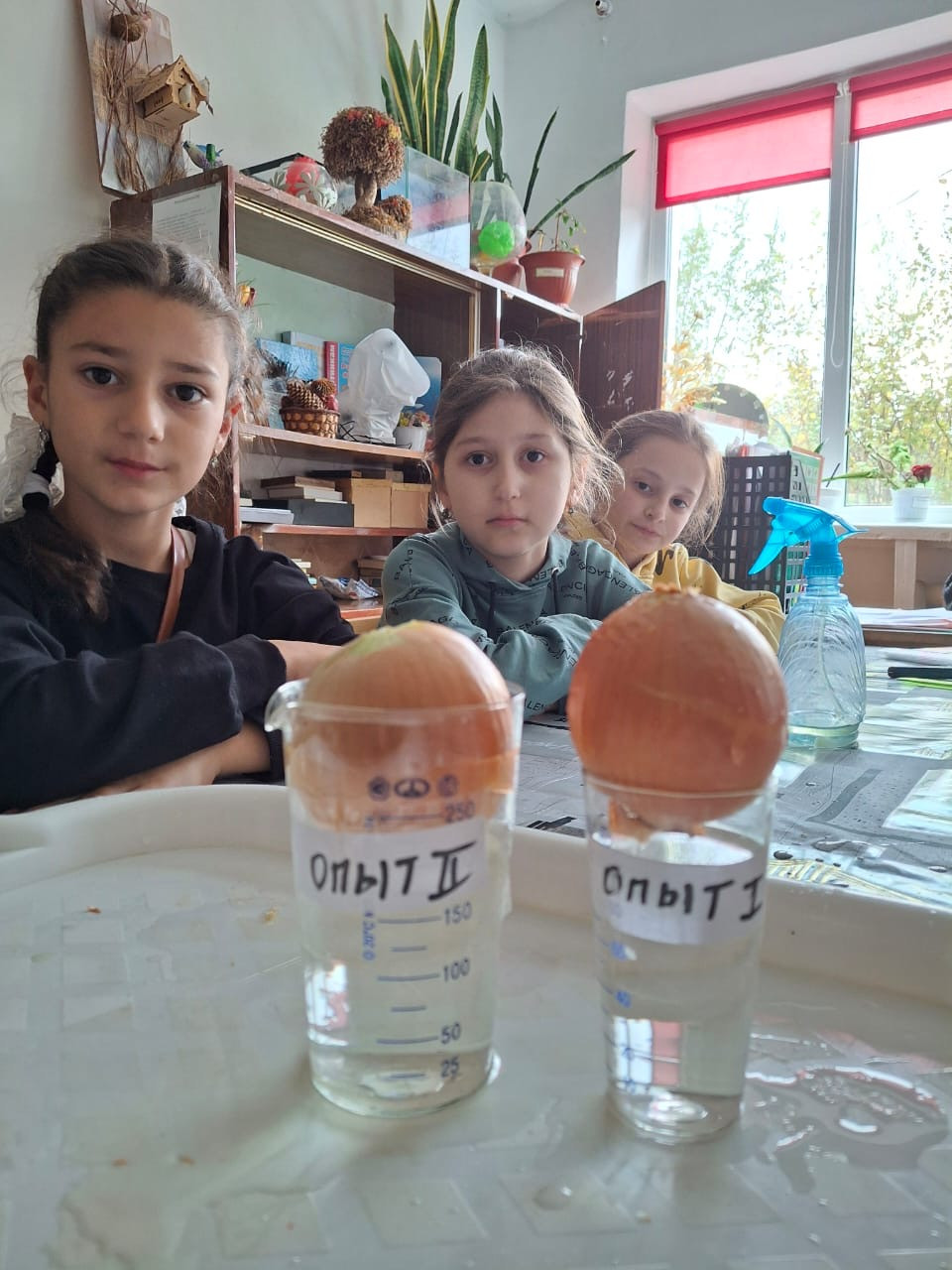 Объединение "Агростарт"