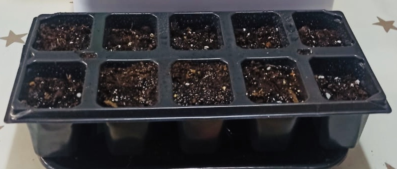 Объединение "Юные цветоводы" Объединение "Юные цветоводы"