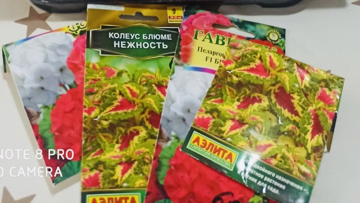 Объединение "Юные цветоводы" Объединение "Юные цветоводы"