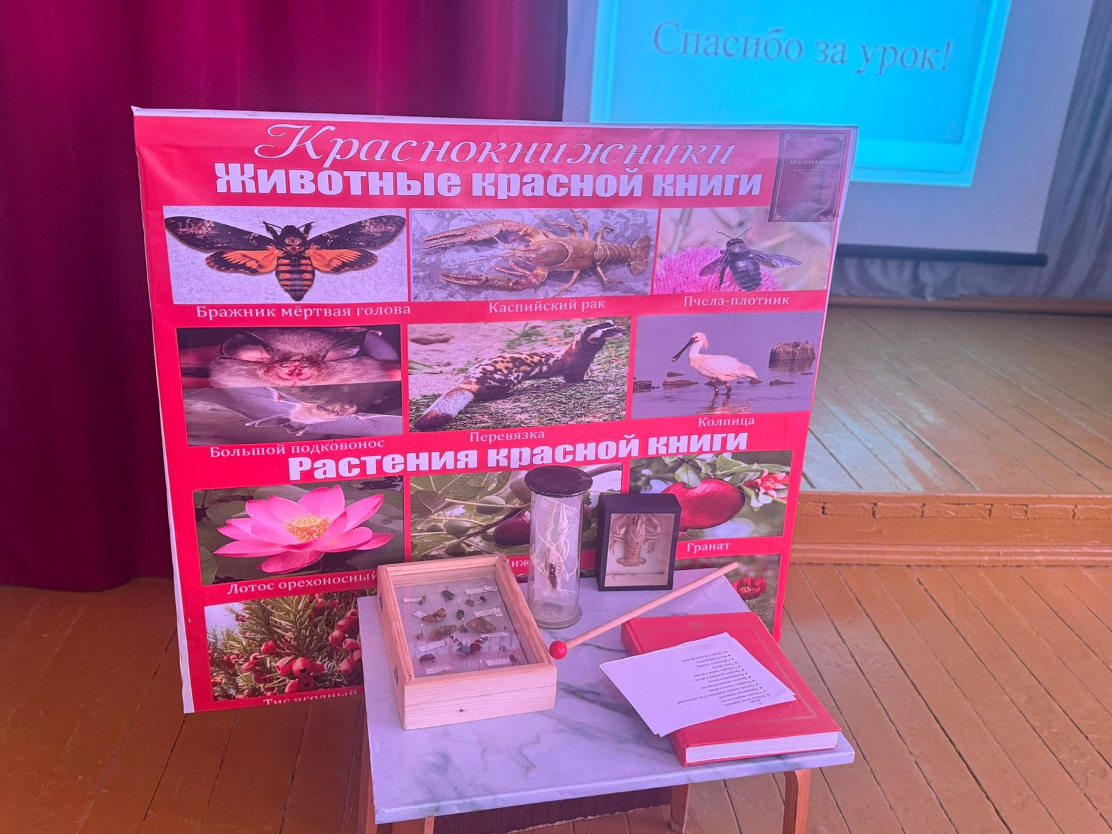 График проведения открытых занятий в объединениях ДДиМ на 2024- 2025 уч.г.