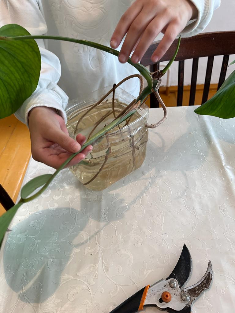 Объединение "Охрана природы"