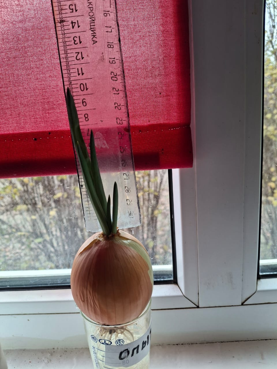 Объединение "Агростарт"