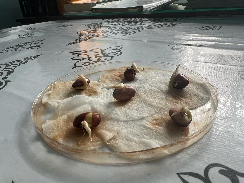 "Ландшафтный дизайнер"