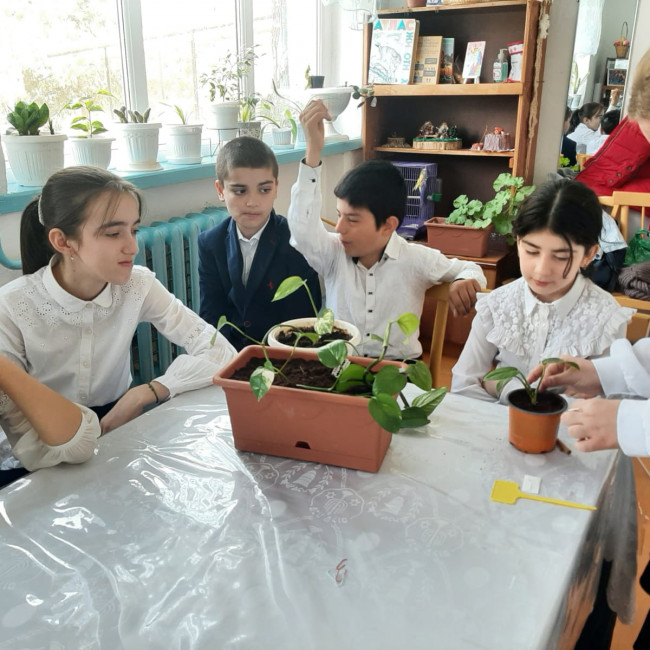 Объединение "Комнатные цветоводы"