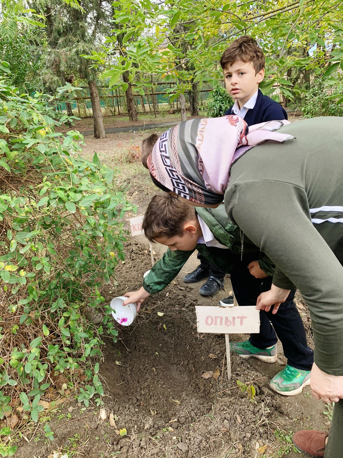 Объединение "Лесоводы"