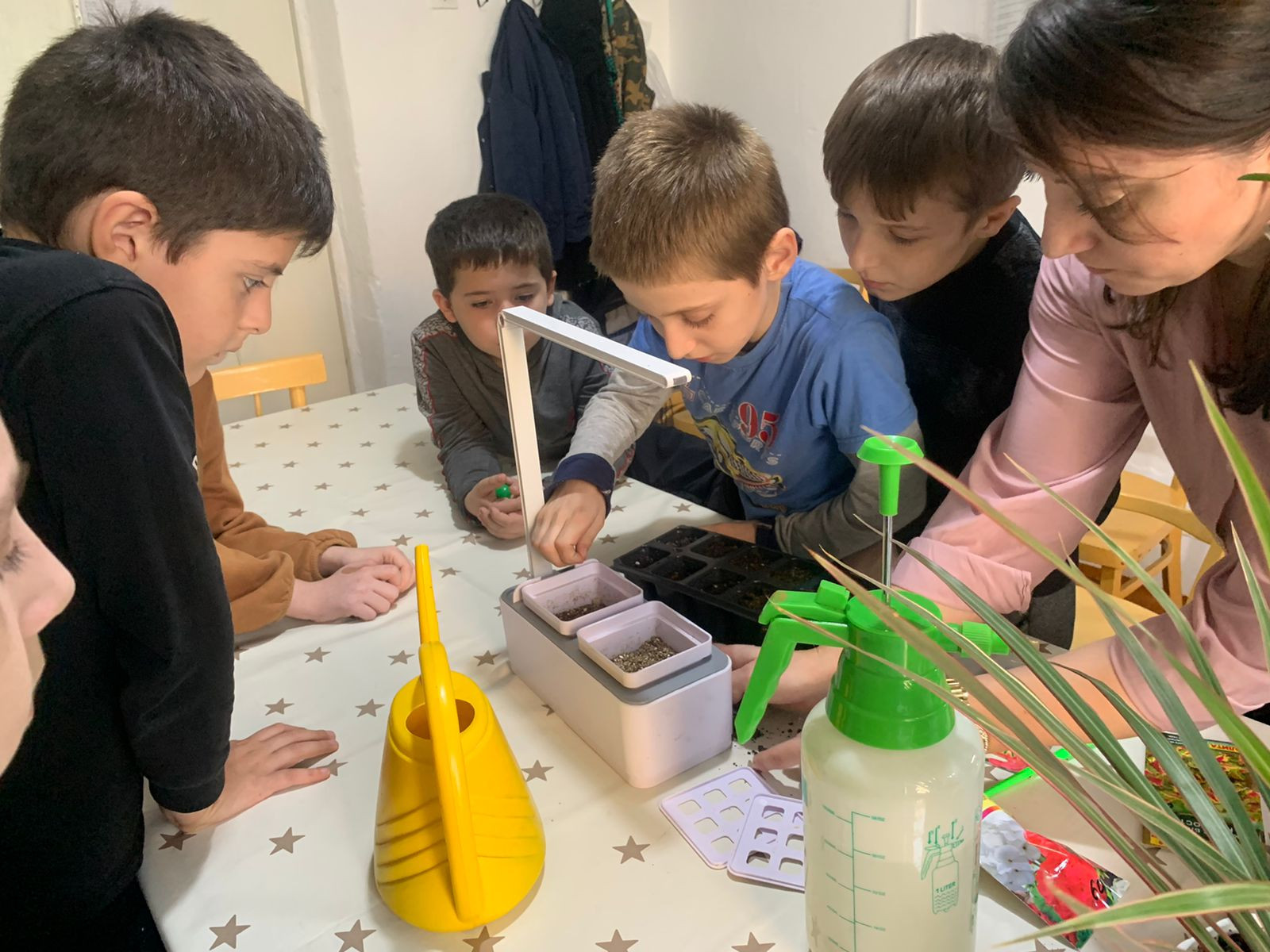 Объединение "Юные цветоводы"