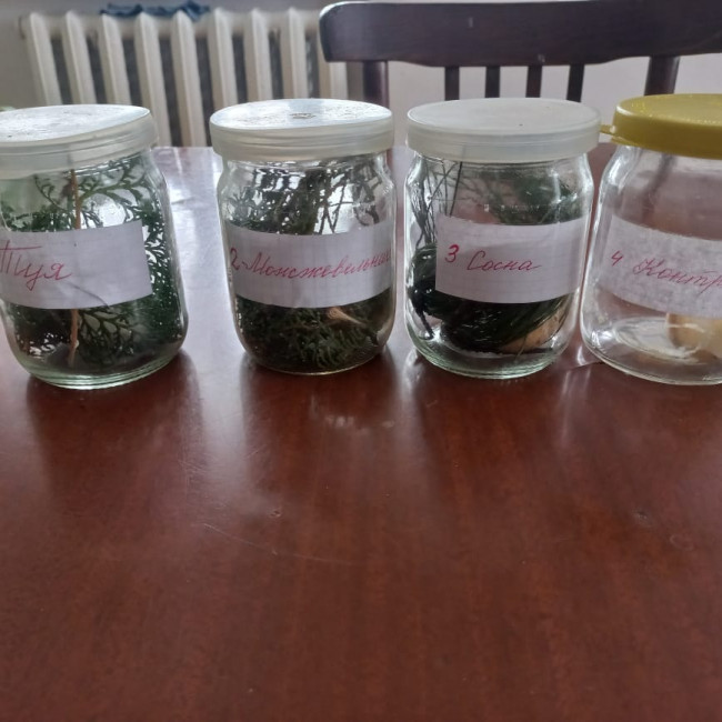 Объединение "Охрана природы"