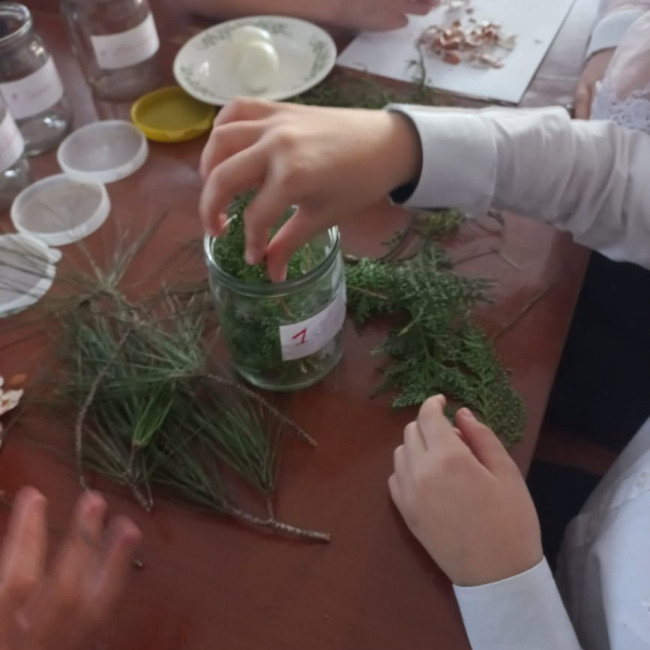 Объединение "Охрана природы"