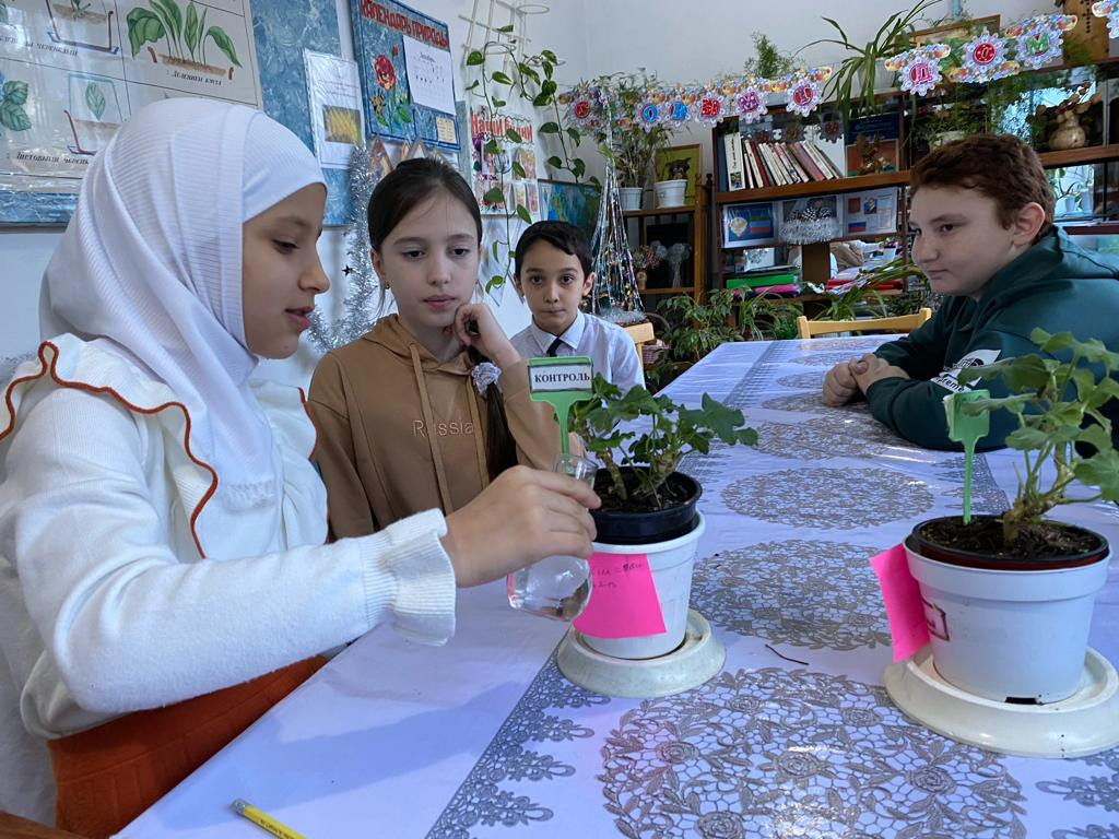 "Комнатные цветоводы"