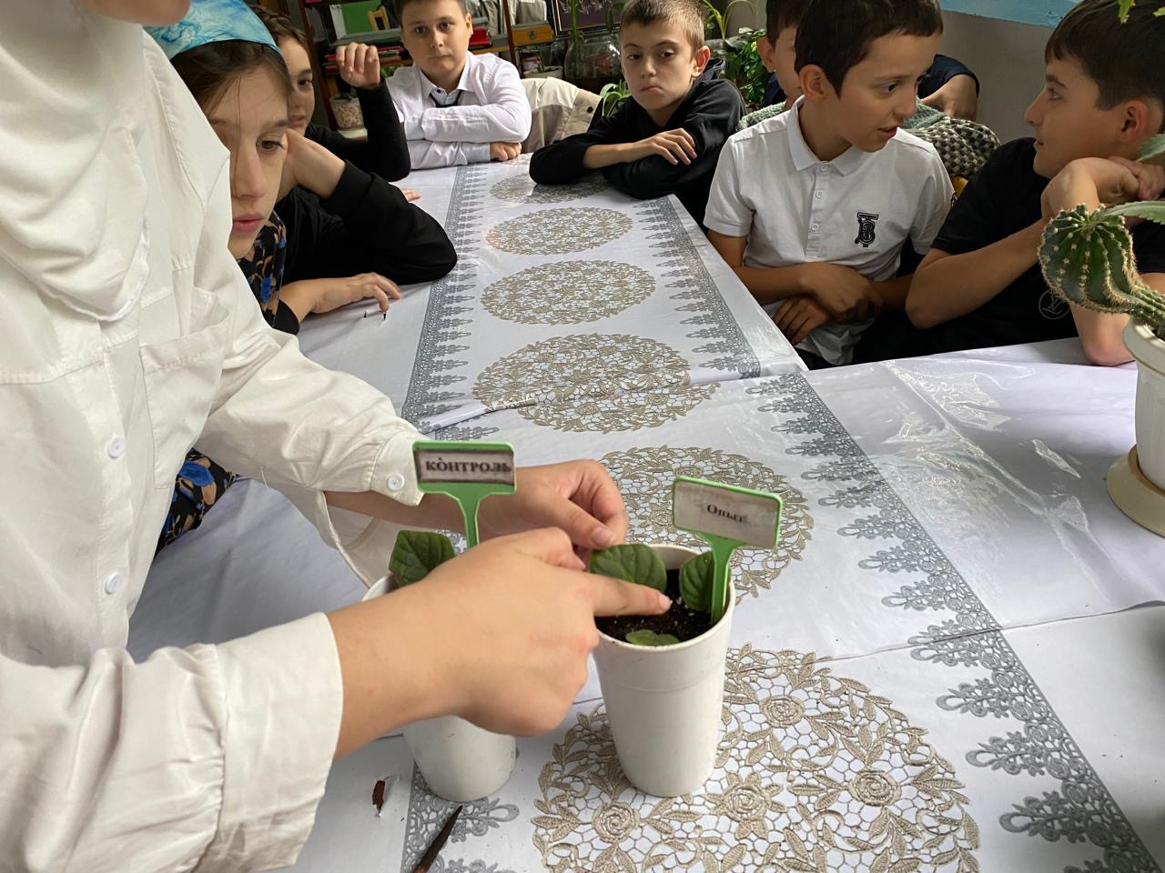 Объединение Комнатные цветоводы"