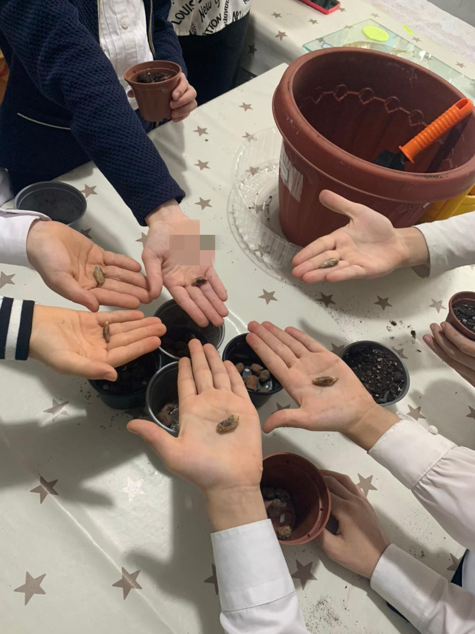 Объединение "Юные цветоводы"