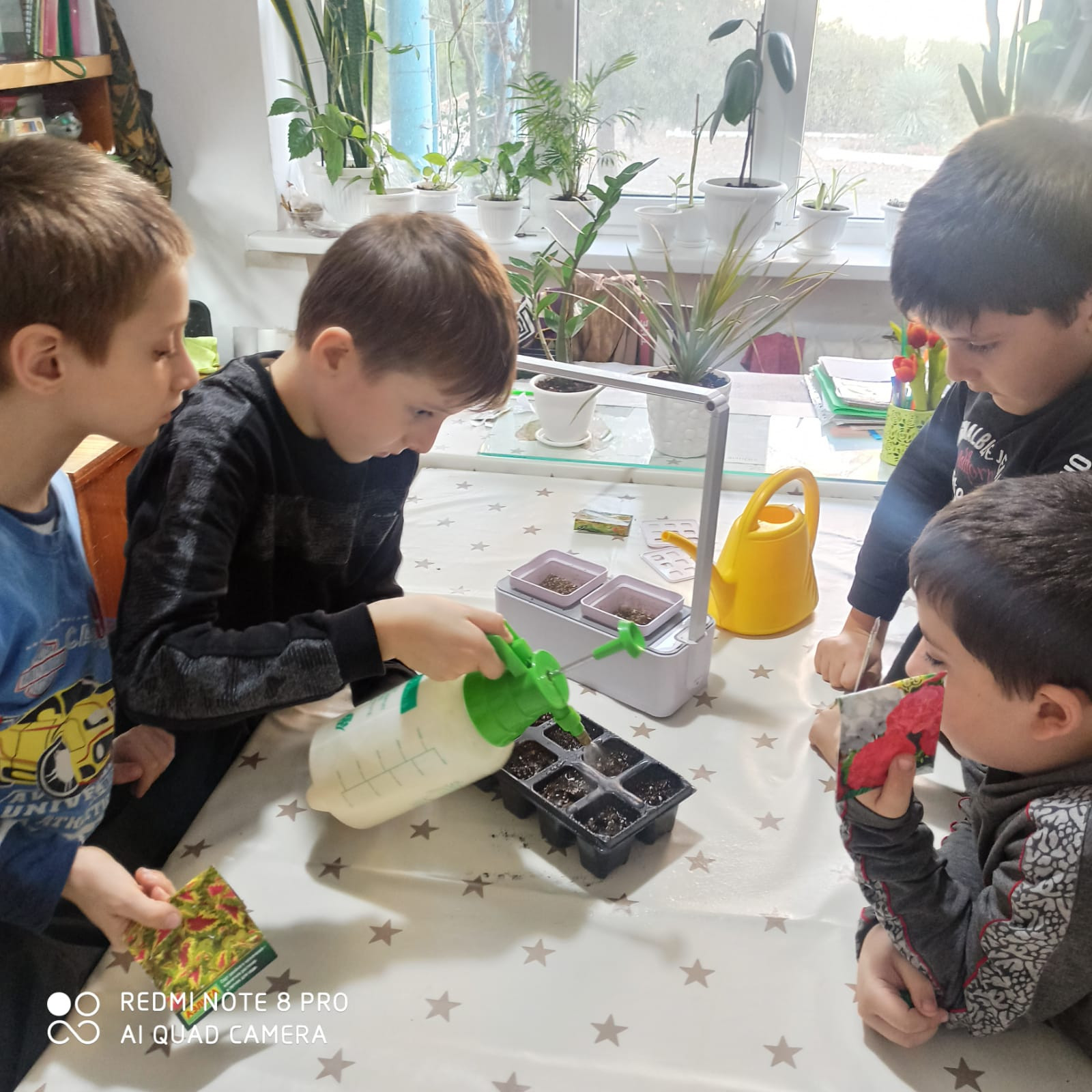 Объединение "Юные цветоводы"