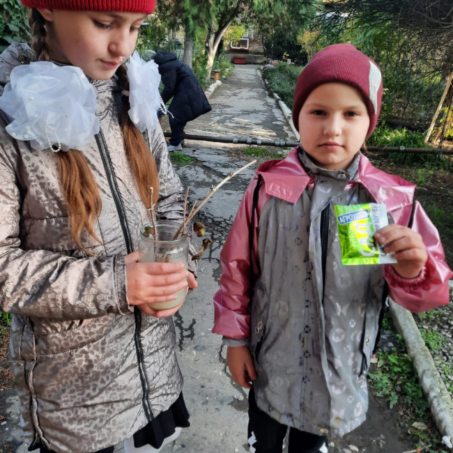 Объединение"Грунтовые цветоводы"