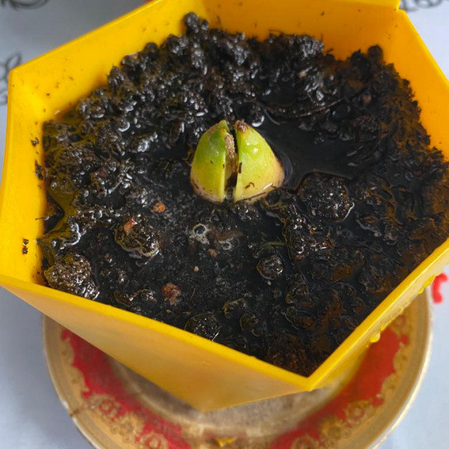 Объединение "Цветоводы"