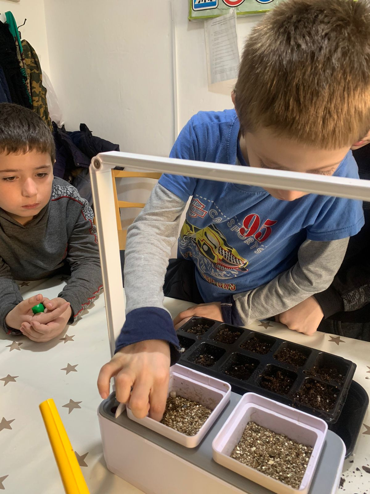 Объединение "Юные цветоводы"