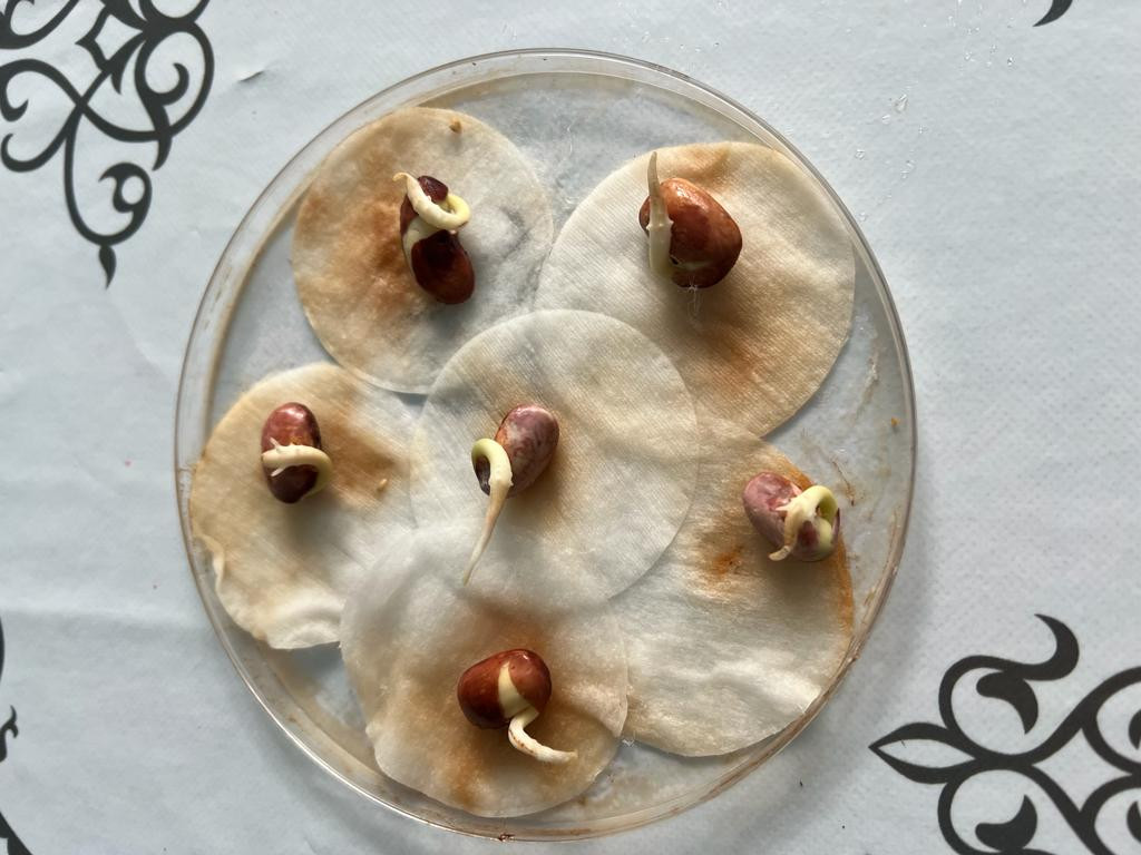 "Ландшафтный дизайнер"