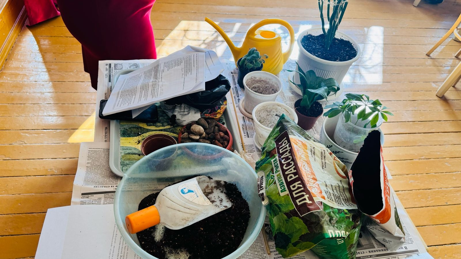 График проведения открытых занятий в объединениях ДДиМ на 2024- 2025 уч.г.