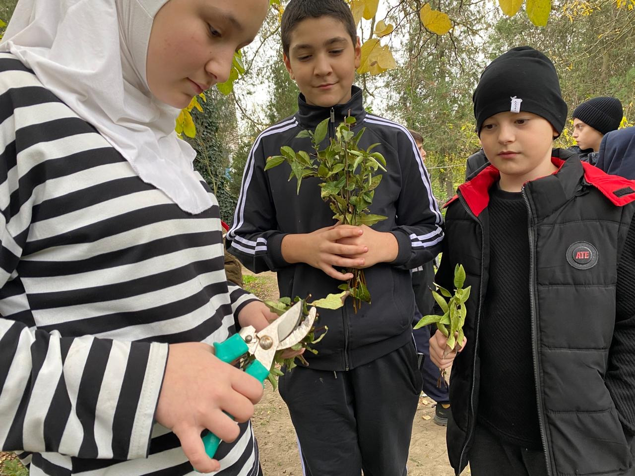 "Комнатные цветоводы"