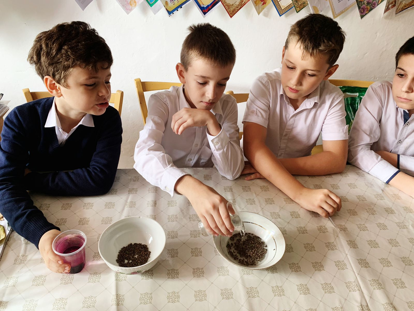 Объединение "Лесоводы"