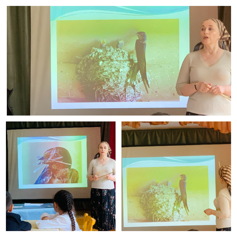 График проведения открытых занятий в объединениях ДДиМ на 2024- 2025 уч.г.