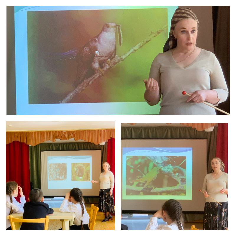 График проведения открытых занятий в объединениях ДДиМ на 2024- 2025 уч.г.