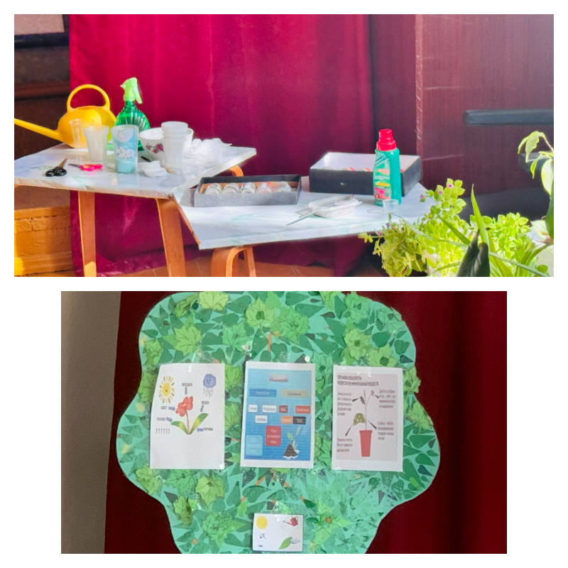 График проведения открытых занятий в объединениях ДДиМ на 2024- 2025 уч.г.