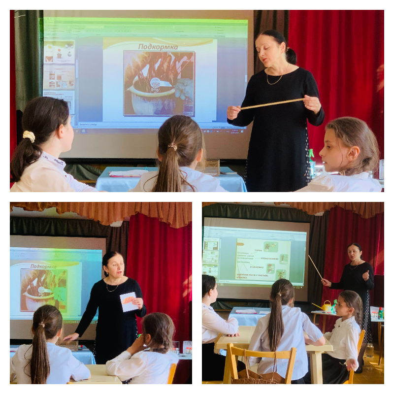 График проведения открытых занятий в объединениях ДДиМ на 2024- 2025 уч.г.