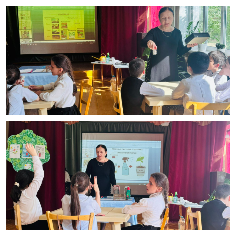 График проведения открытых занятий в объединениях ДДиМ на 2024- 2025 уч.г.