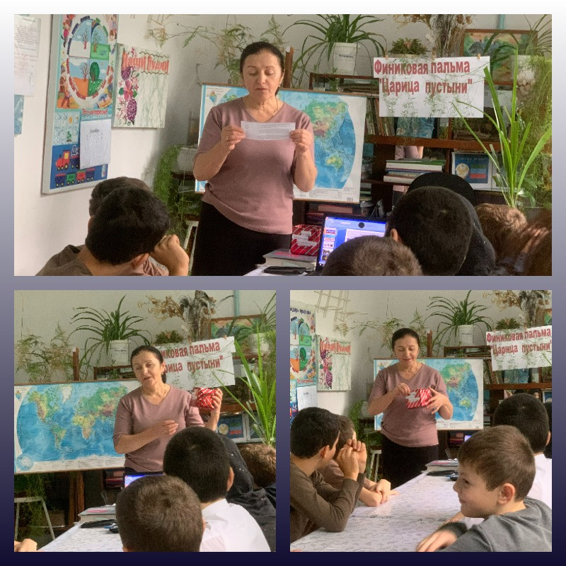 График проведения открытых занятий в объединениях ДДиМ на 2025- 2026 уч.г. График проведения открытых занятий в объединениях ДДиМ на 2025- 2026 уч.г.