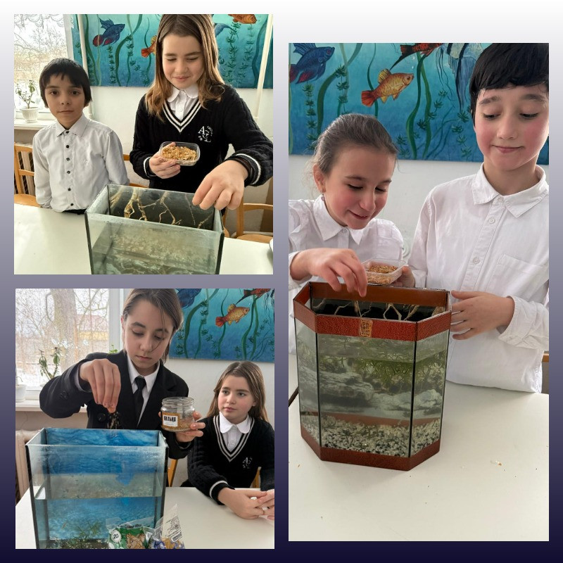 "Аквариумные рыбоводы"