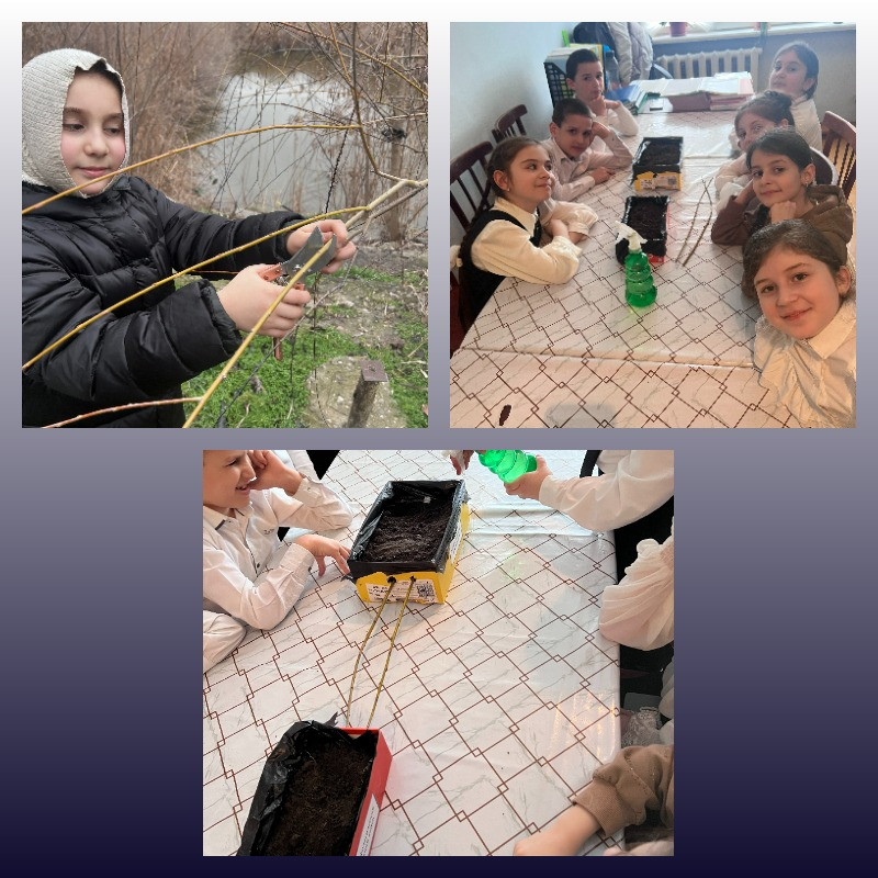 "Ландшафтный дизайнер"