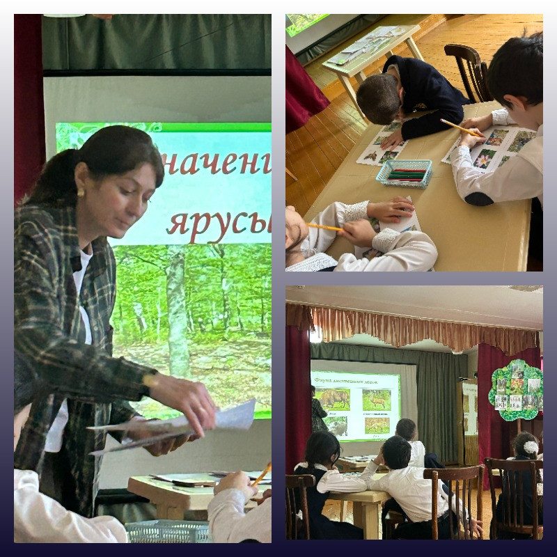 График проведения открытых занятий в объединениях ДДиМ на 2025- 2026 уч.г.