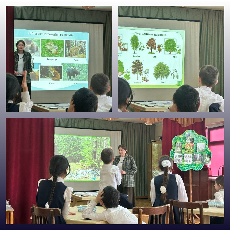 График проведения открытых занятий в объединениях ДДиМ на 2025- 2026 уч.г.