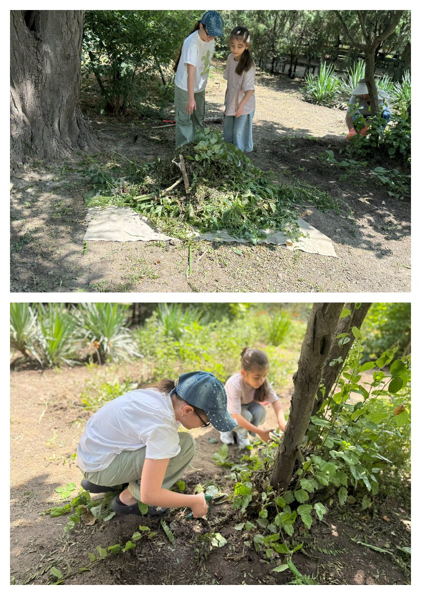 24.06.2025г. 24.06.2025г.