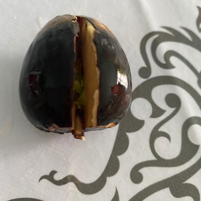 Опытническая и исследовательская работа в объединении "Цветоводы"