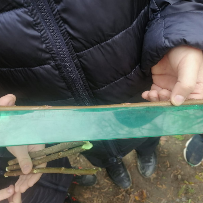 Объединение "Лесные робинзоны"