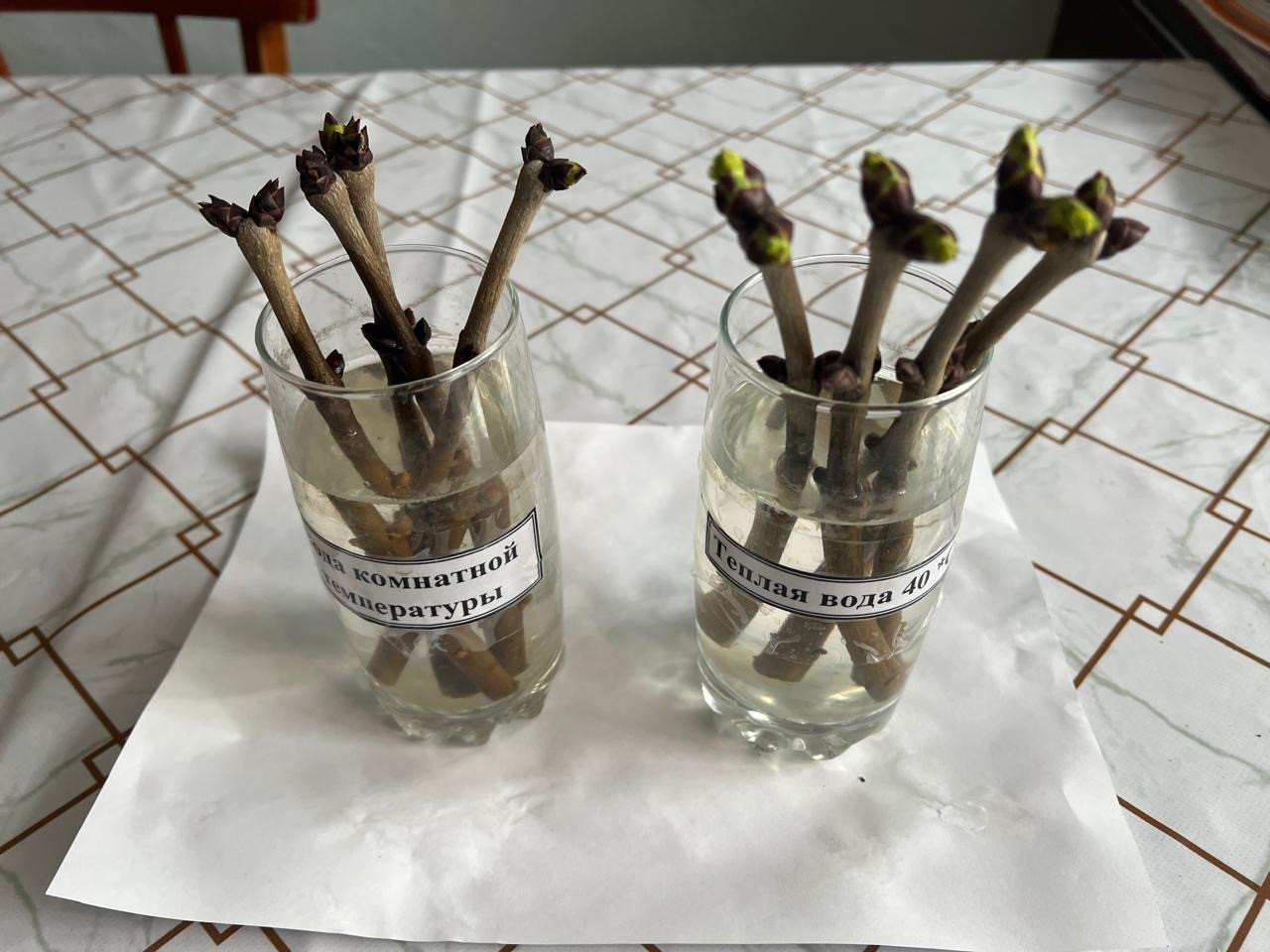 Объединение "Ландшафтный дизайнер"