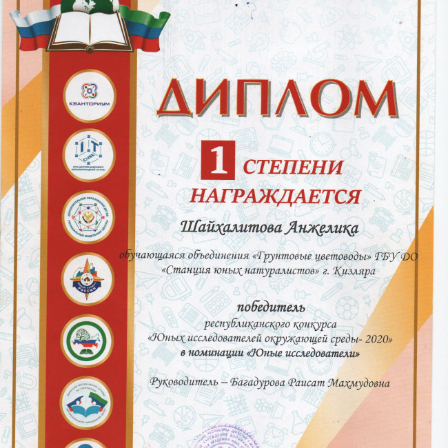 Достижения