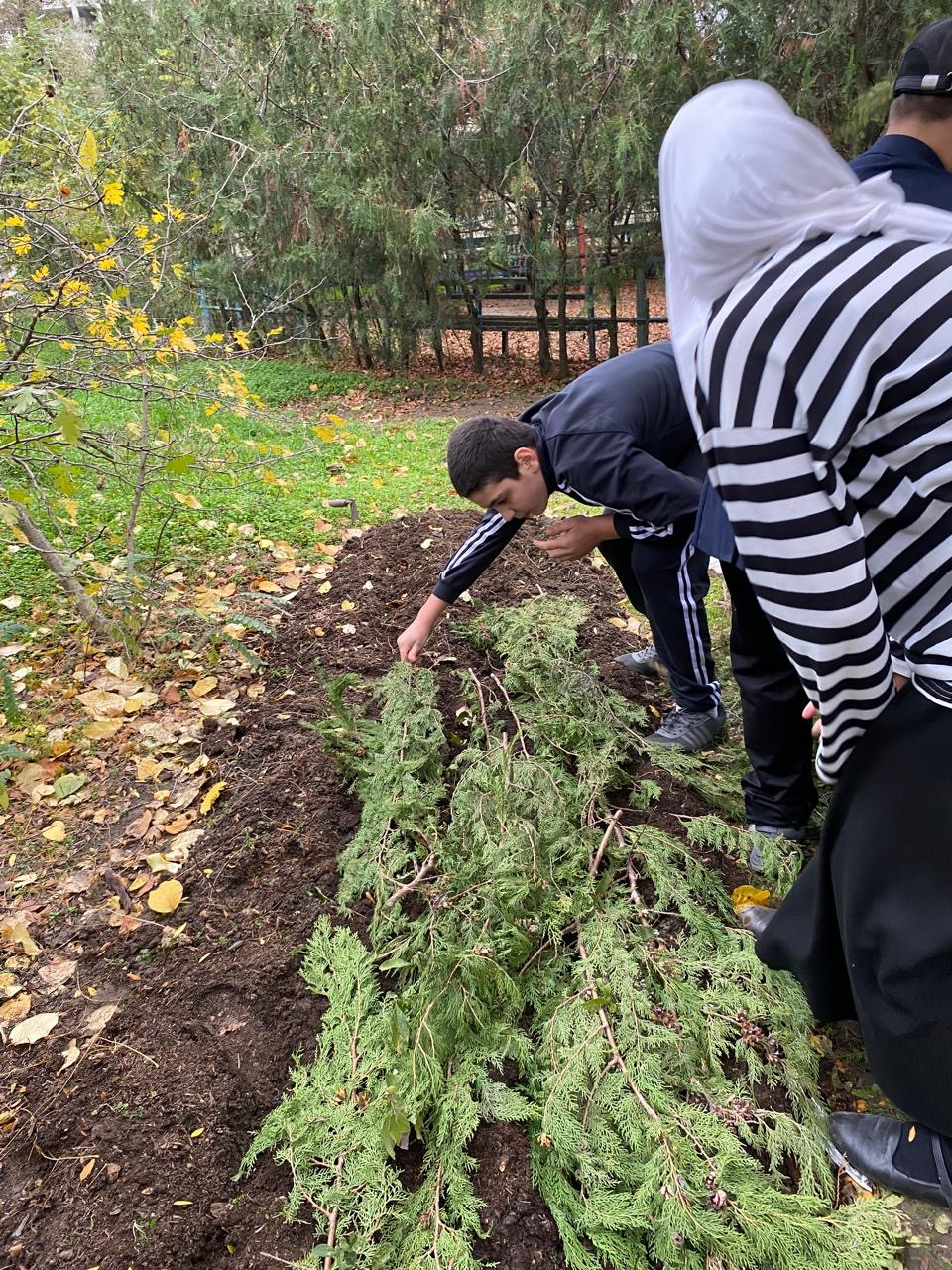 "Комнатные цветоводы"