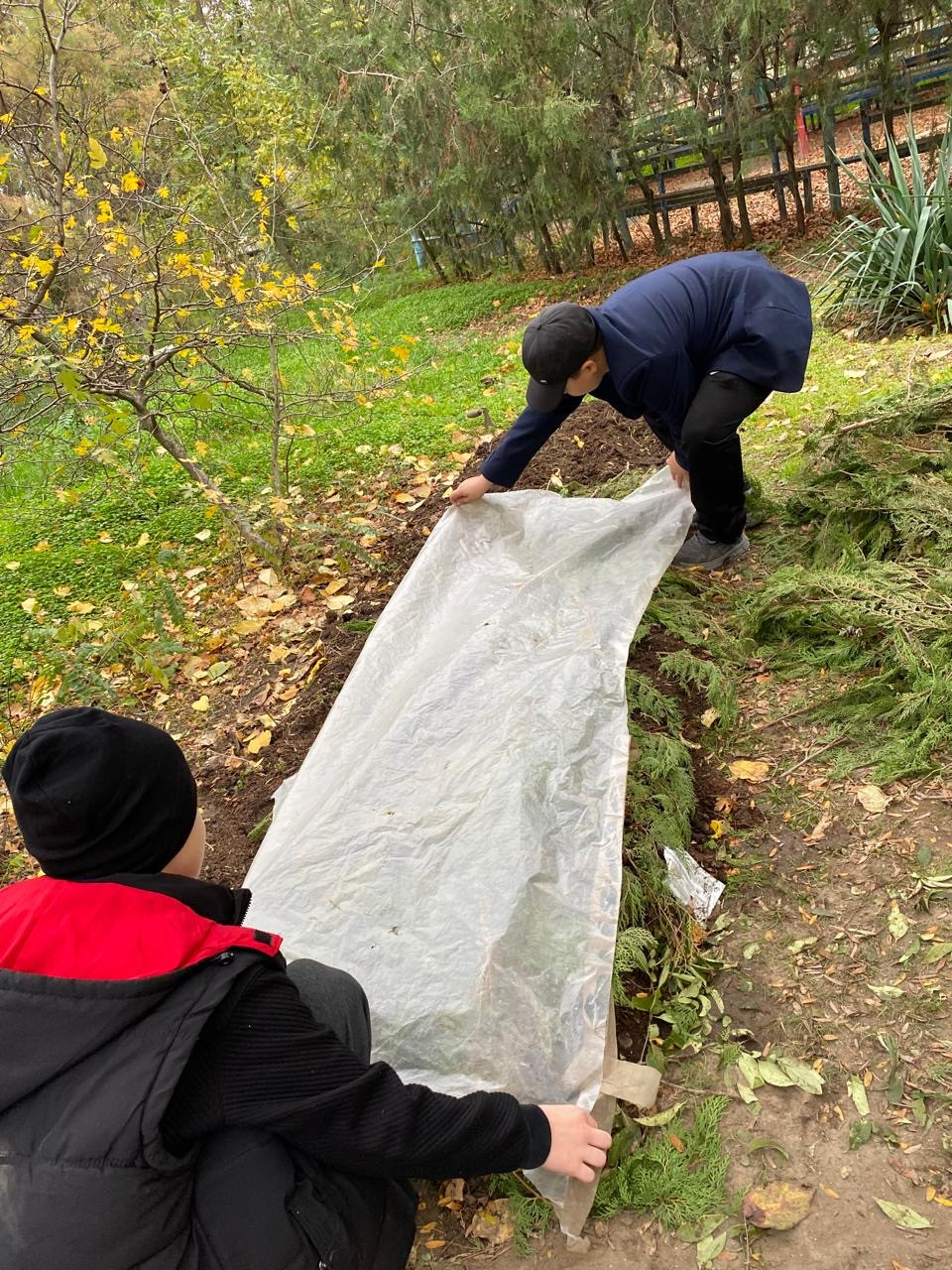 "Комнатные цветоводы"