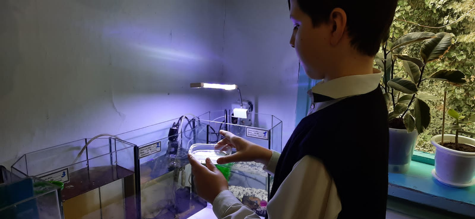 Объединение "Юные аквариумисты"