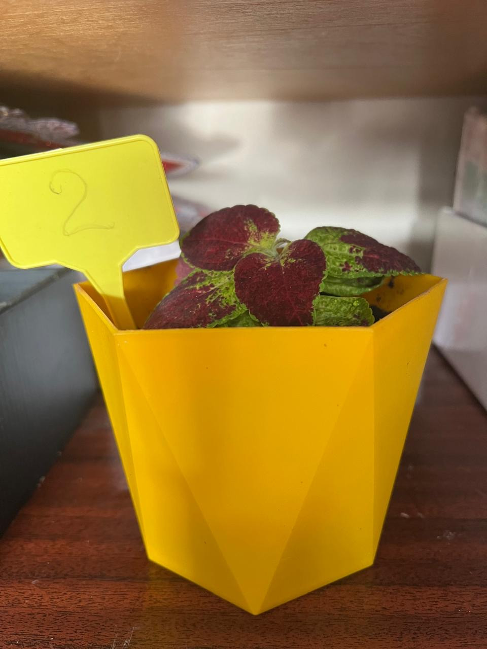 Объединение "Ландшафтный дизайнер"