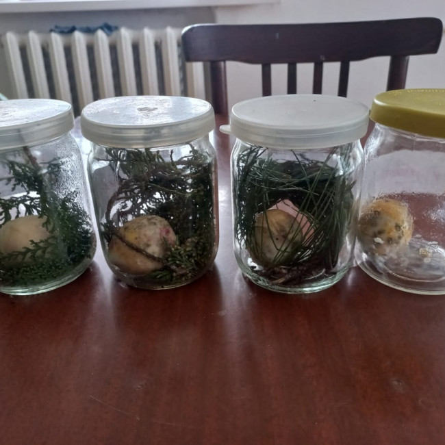 Объединение "Охрана природы"